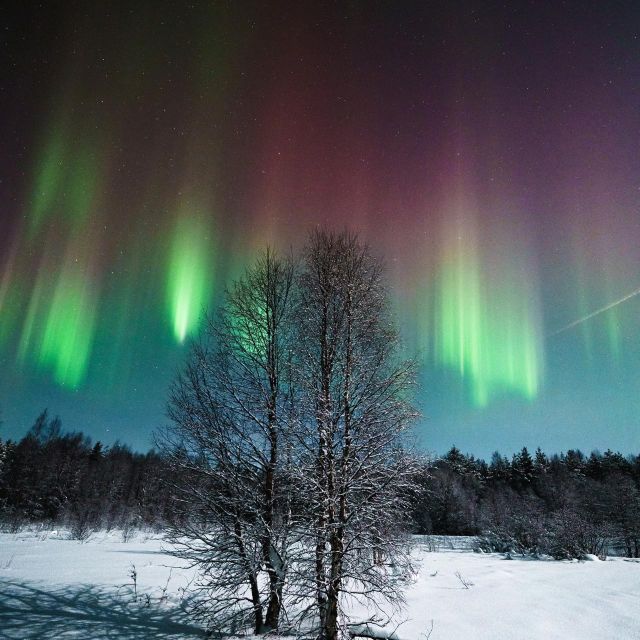 Rovaniemi: Small Group Aurora Hunt-full money back guarantee - Money-Back Guarantee and Cloudy Sky Reality Checks