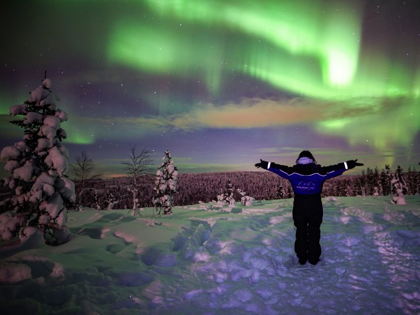 Rovaniemi: Small-Group Northern Lights Wilderness Tour - Meeting up in Rovaniemi: city center vs. outside the center