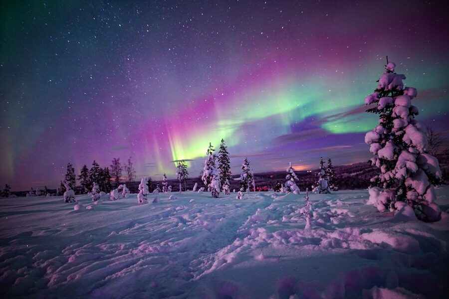 Rovaniemi: Small-Group Northern Lights Wilderness Tour - Up to 3 locations: your aurora survival plan