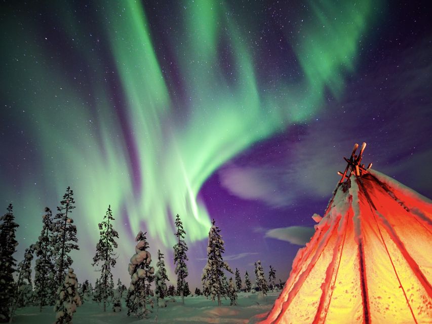 Rovaniemi: Small-Group Northern Lights Wilderness Tour - Fire time in the Arctic: snacks, cooking, and real comfort