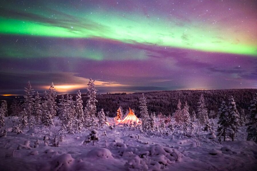 Rovaniemi: Small-Group Northern Lights Wilderness Tour - Timing in winter: how the tour picks the moment for your hunt