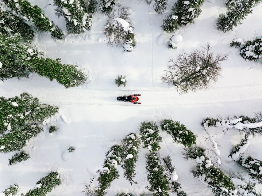 Rovaniemi: Snowmobile Safari Adventure - Key things to know before you go