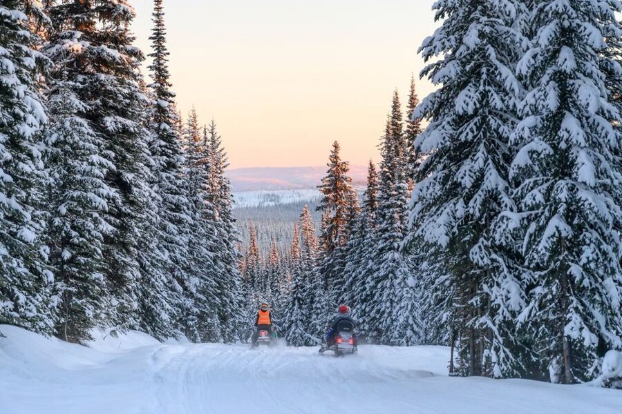 Rovaniemi: Snowmobile Safari Adventure - Forest and frozen-lake riding, with breaks built in