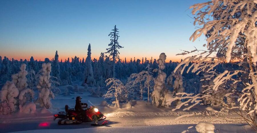 Rovaniemi: Snowmobile Safari & Campfire Evening Escape - Safety and Snowmobile Basics When You Share the Seat