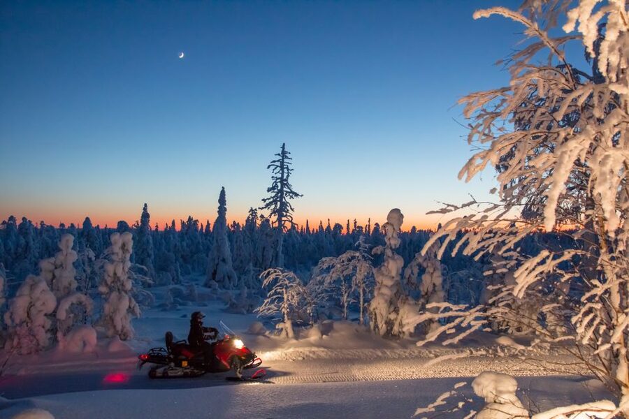 Rovaniemi: Snowmobile Safari & Campfire Evening Escape - The 3-Hour Timing That Keeps the Night Fun