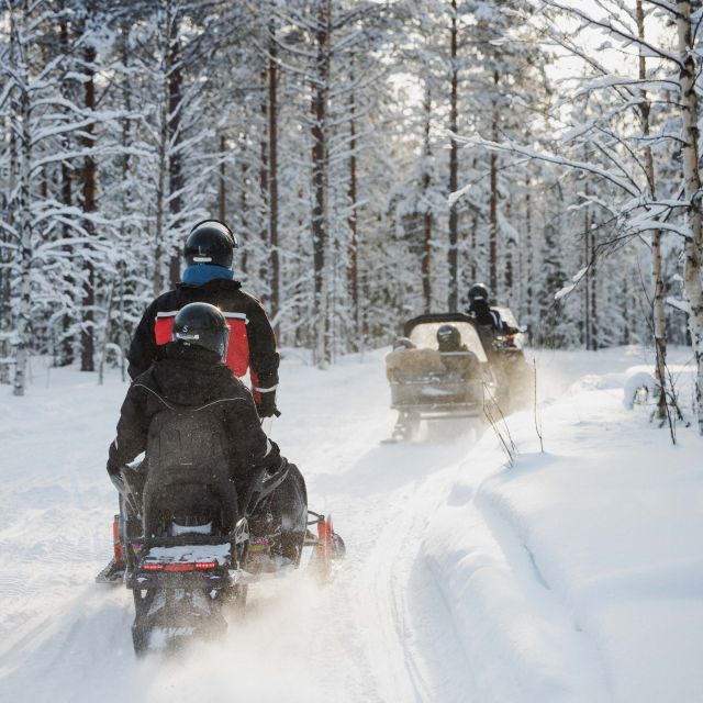 Rovaniemi: Snowmobile Safari in the Arctic Circle - Why This Rovaniemi Ride Feels Like Real Arctic Travel