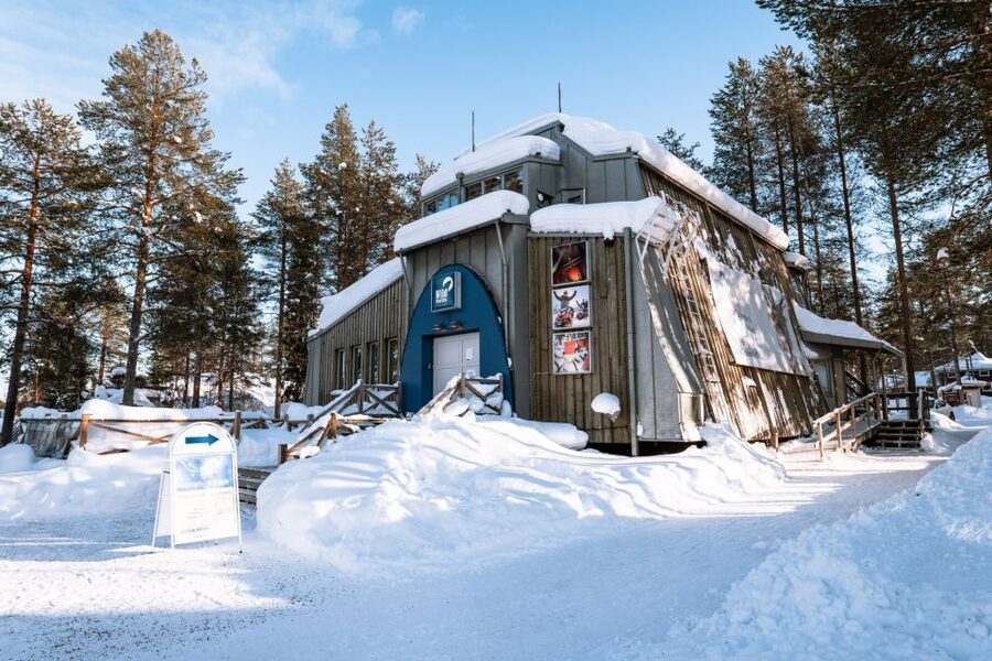 Rovaniemi: Snowmobile Safari into the Arctic Circle Forest - What You Actually Do During the 2-Hour Adventure