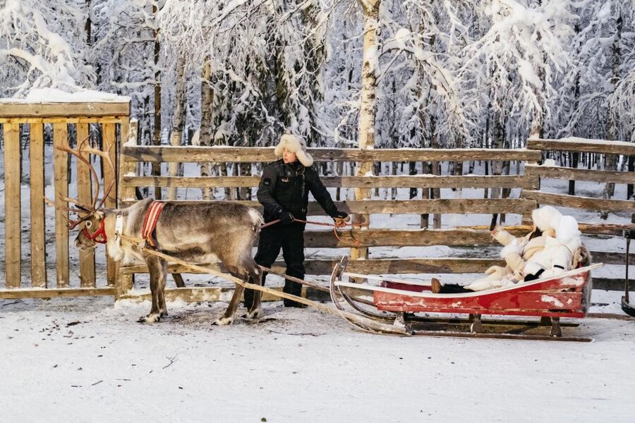 Rovaniemi: Snowmobile Safari, Reindeer & Husky Sleigh Ride - Twin Riding vs Solo Driving: How to Choose What Fits You