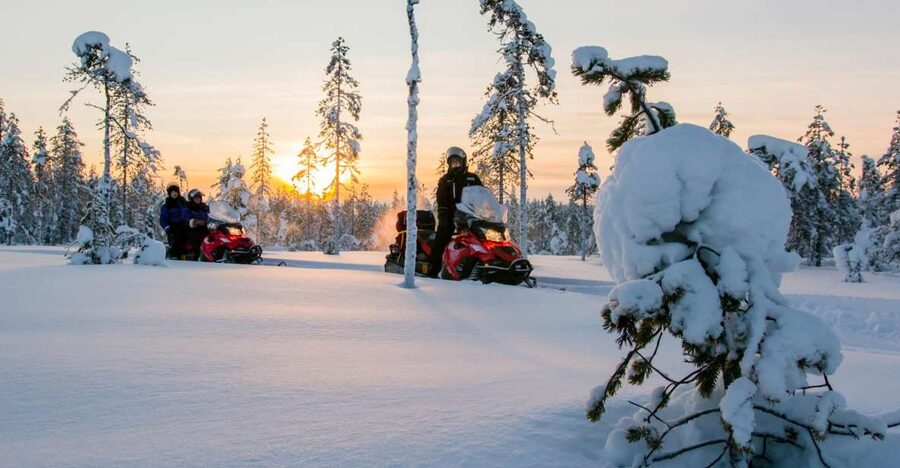 Rovaniemi: Snowmobile Safari to a Reindeer Farm - The Reindeer Farm Visit: Sleigh Ride, Learning, and a Take-Home License