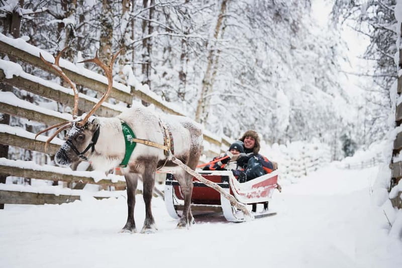 Rovaniemi: Snowmobile Tour and Reindeer Experience - Reindeer Manor First: Where Lapland Herding Comes to Life