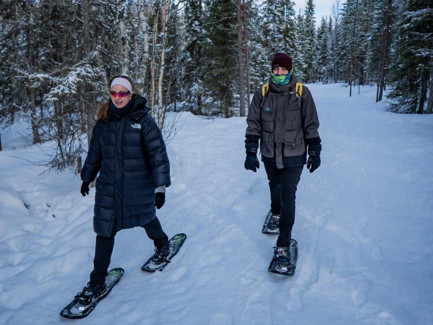 Rovaniemi: Snowshoe Adventure at Vikaköngäs & Barbeque - Where You Start in Rovaniemi, and How Pickup Actually Feels