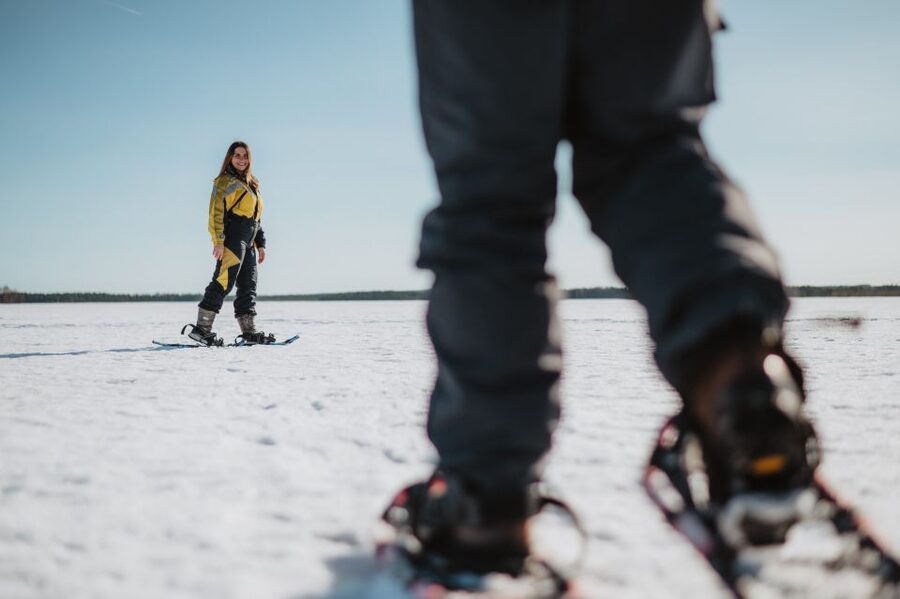 Rovaniemi: Snowshoe Walk to The Arctic Nature - What You Learn: Arctic Flora, Fauna, and Northern Traditions