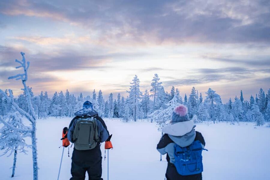 Rovaniemi: Snowshoe Wilderness Adventure - Key highlights worth your attention
