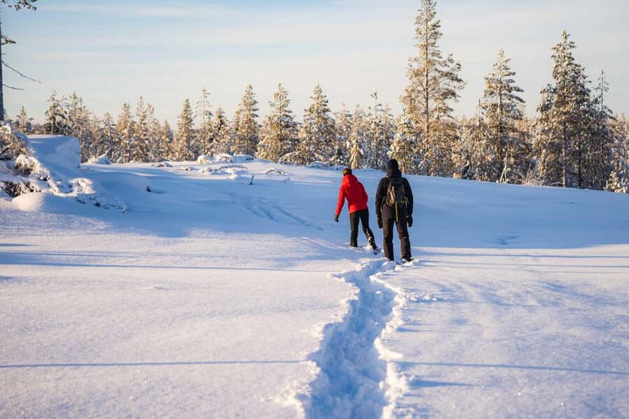 Rovaniemi: Snowshoe Wilderness Adventure - The snowshoe walk: deep-snow hiking with photo stops