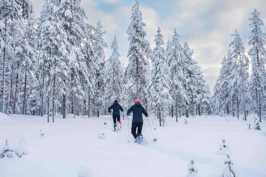 Rovaniemi: Snowshoe Wilderness Adventure - The edited photo download: keep your best shots