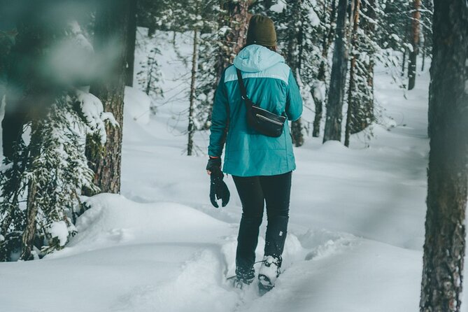 Rovaniemi: Snowshoeing in a magical snowy forest - Key highlights worth your attention