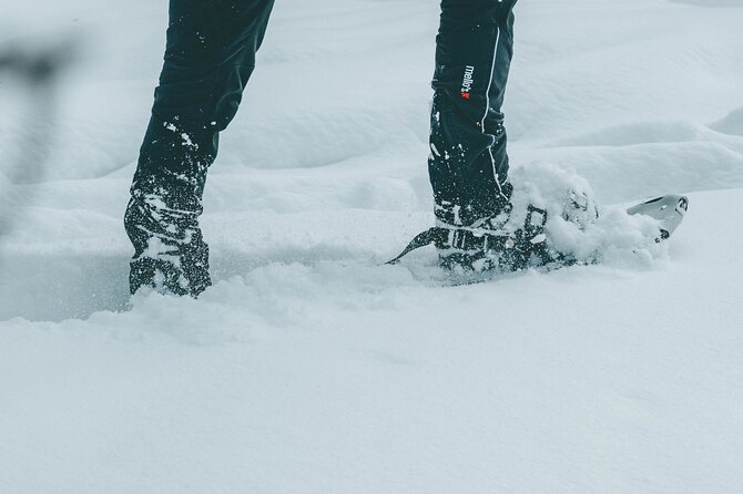 Rovaniemi: Snowshoeing in a magical snowy forest - Rovaniemi snowshoeing close to town, with an unhurried start