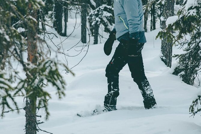 Rovaniemi: Snowshoeing in a magical snowy forest - Fireside sausages and hot juice, plus the culture talk that feels grounded