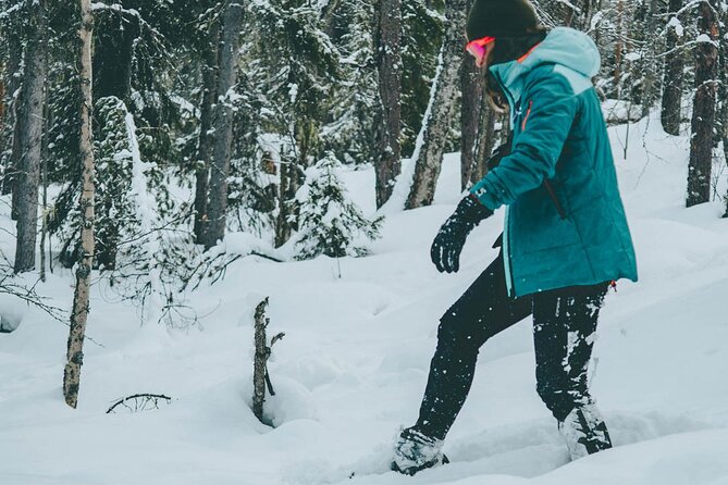 Rovaniemi: Snowshoeing in a magical snowy forest - Weather matters more here than you think
