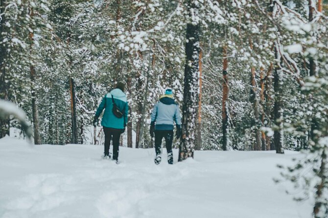 Rovaniemi: Snowshoeing in a magical snowy forest - Who should book this Rovaniemi snowshoe walk