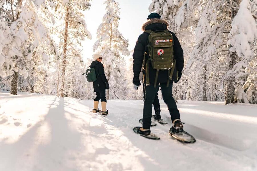 Rovaniemi: Snowshoeing in the Arctic Wilderness - Key highlights I would prioritize