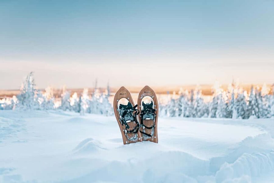 Rovaniemi: Snowshoeing in the Arctic Wilderness - Why this Rovaniemi snowshoeing trip feels practical, not just pretty