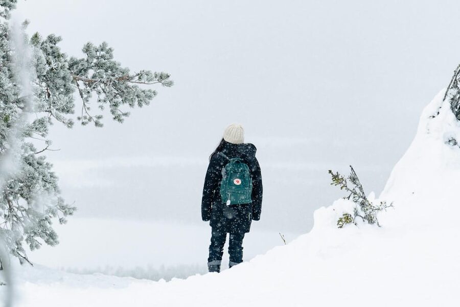 Rovaniemi: Snowshoeing in the Arctic Wilderness - Learning traditional fire lighting with flint and steel
