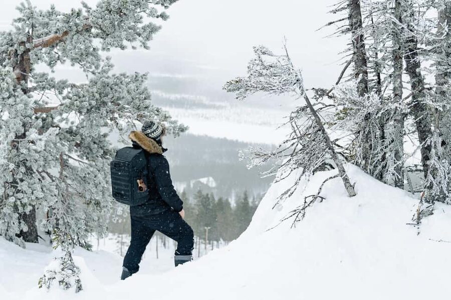 Rovaniemi: Snowshoeing in the Arctic Wilderness - The 3-hour rhythm, pickup included, and why timing matters