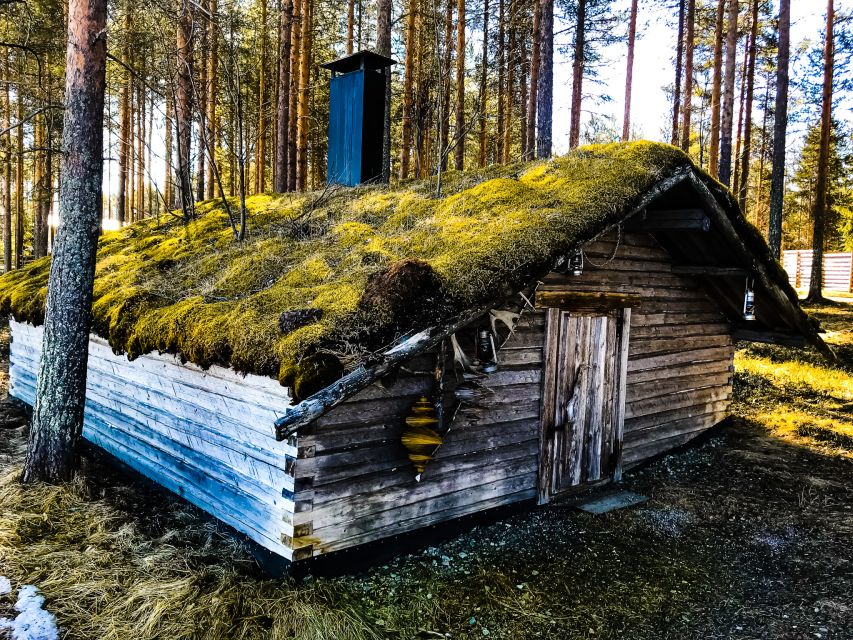 Rovaniemi: Summer Reindeer Farm Experience - Key things to know before you go
