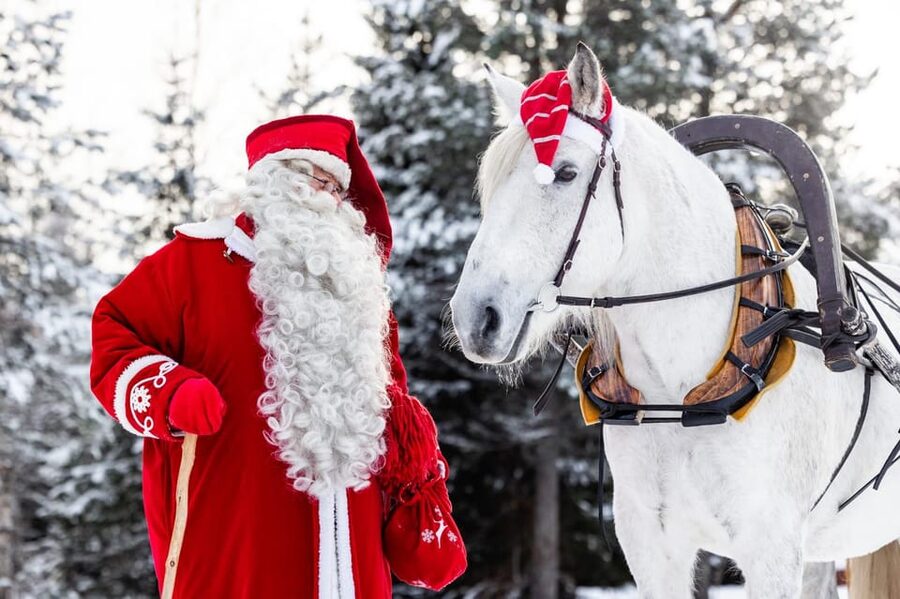 Rovaniemi: Traditional Finnhorse Sleigh Ride at SCV (3km) - Key highlights worth planning around