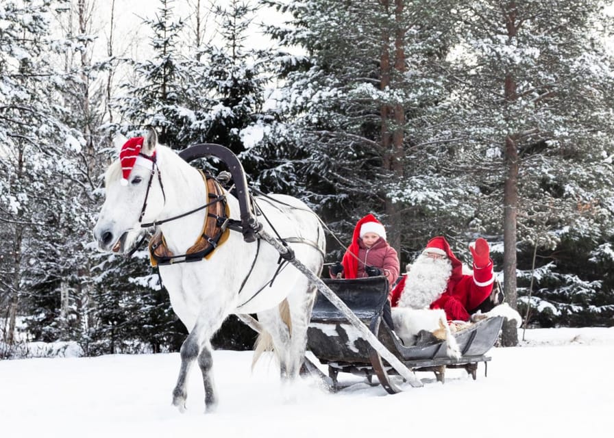 Rovaniemi: Traditional Finnhorse Sleigh Ride at SCV (3km) - A Finnhorse Sleigh Ride That Feels Quiet and Timeless