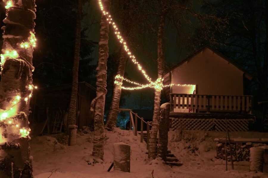 Rovaniemi: Traditional Sauna and Ice Swimming Experience - How the sauna rhythm works: wood stove heat and steam control