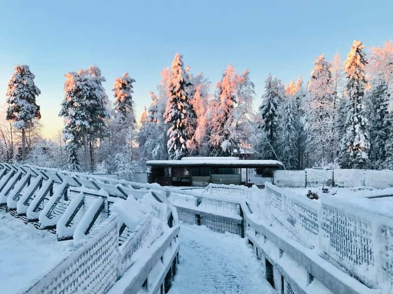 Rovaniemi: Trip to Ranua Zoo with Tickets - Timing on the Ground: How a Half-Day Visit Plays Out