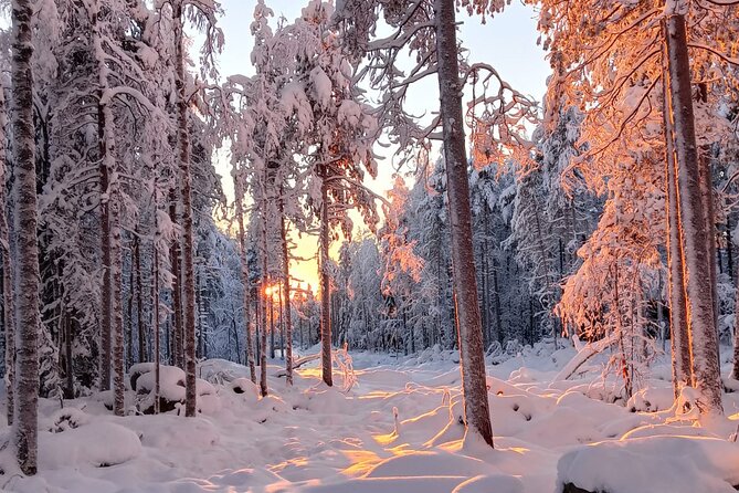 Rovaniemi: Trip to Ranua Zoo with Tickets Included - The walking route and cold-weather comfort math