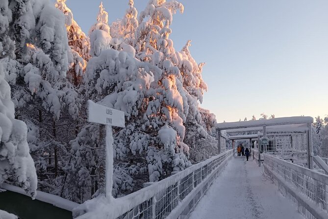 Rovaniemi: Trip to Ranua Zoo with Tickets Included - Animal sightings: how to set expectations the smart way