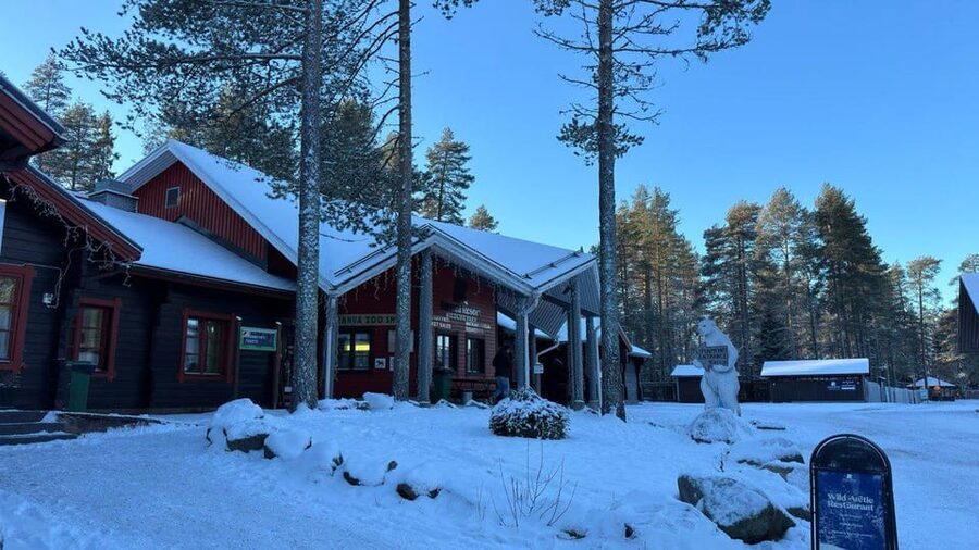 Rovaniemi: trip to the Ranua Zoo (transportation, tickets) - The staff and transfer details that keep things smooth