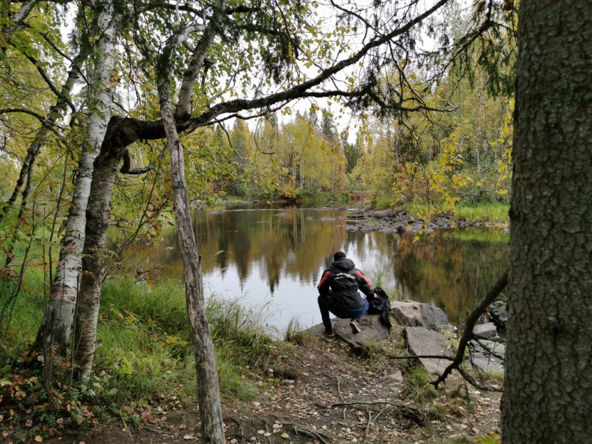 Rovaniemi: Vaattunki Hiking Arctic Circle Trail - Crossing the Arctic Circle without turning it into a gimmick