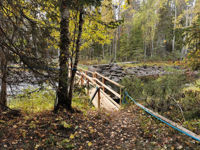 Rovaniemi: Vaattunki Hiking Arctic Circle Trail - Bonfire break: warm snacks, open fire stories, and why it matters