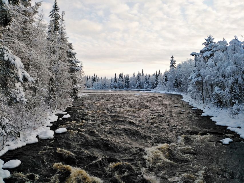 Rovaniemi: Vaattunki Hiking Arctic Circle Trail - What the 3-hour schedule really means for your energy