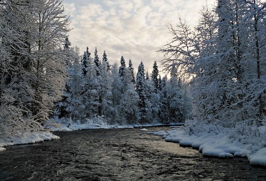 Rovaniemi: Vaattunki Hiking Arctic Circle Trail - Small group size, real guide attention, and safety on tricky footing