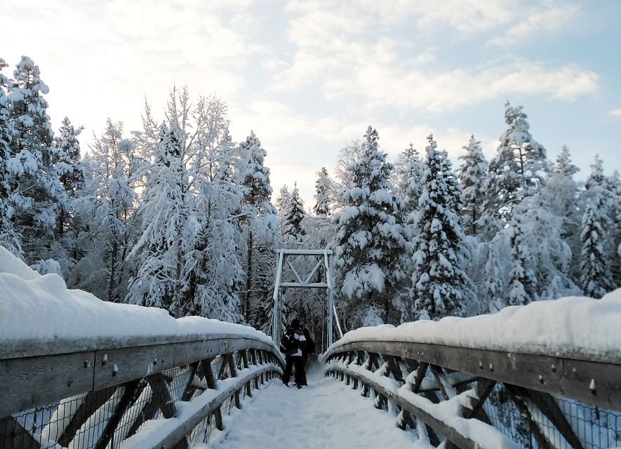 Rovaniemi: Vaattunki Hiking Arctic Circle Trail - Pickup, guide choices, and how your route length gets set