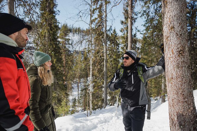 Rovaniemi - Visit to The Frozen Waterfalls of Korouoma - The Koronjää ice trail: what the walking experience feels like