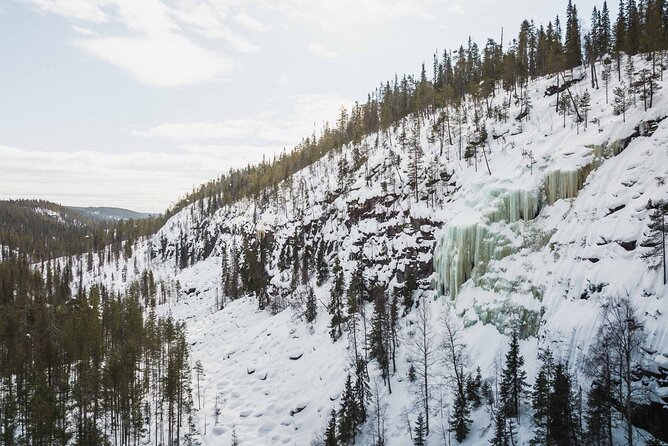 Rovaniemi - Visit to The Frozen Waterfalls of Korouoma - Wildlife and the winter details you might notice