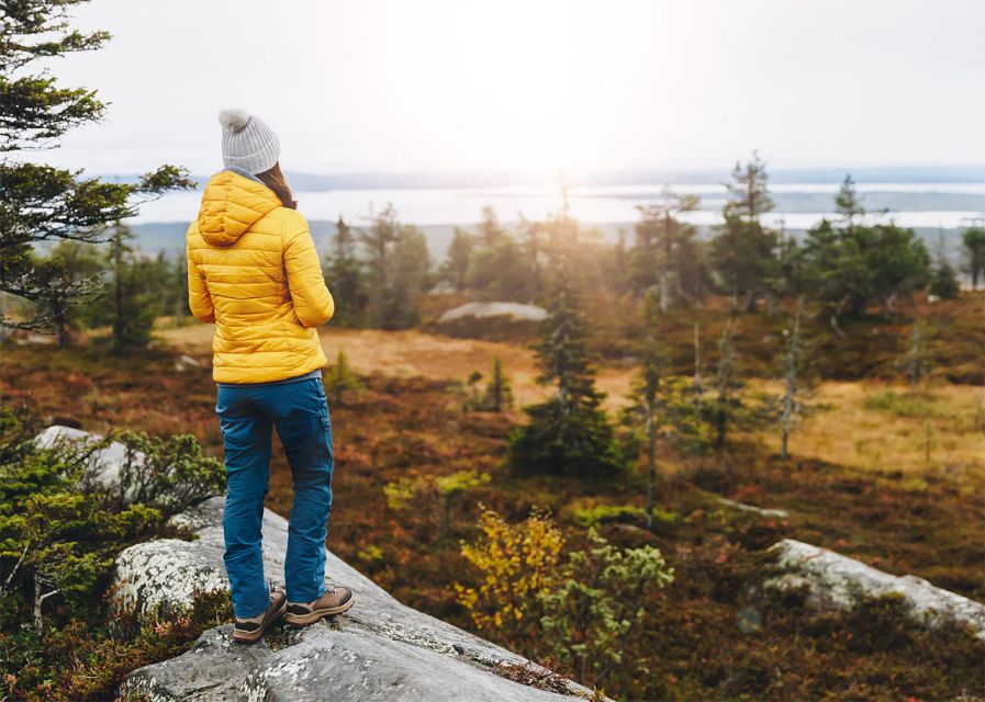Rovaniemi: Wild Moose Safari - How the guide finds moose: sunrise, sunset, and quiet scanning