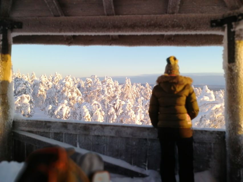 Rovaniemi: Wilderness Tour - Should You Book This Rovaniemi Wilderness Tour?