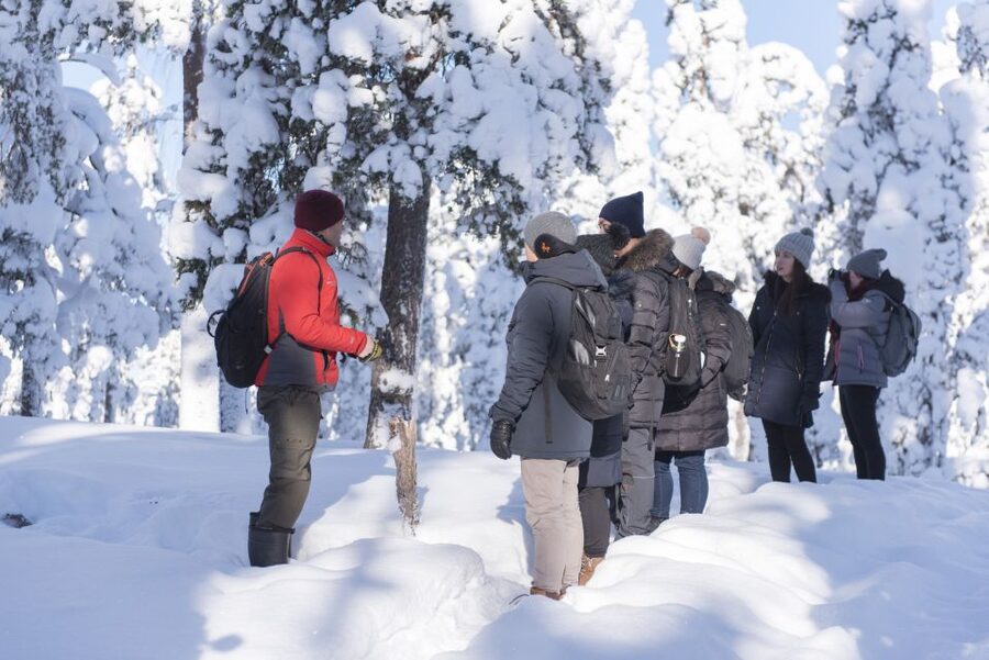 Rovaniemi: Wilderness Tour - How the Wilderness Tour Works in Winter and Summer