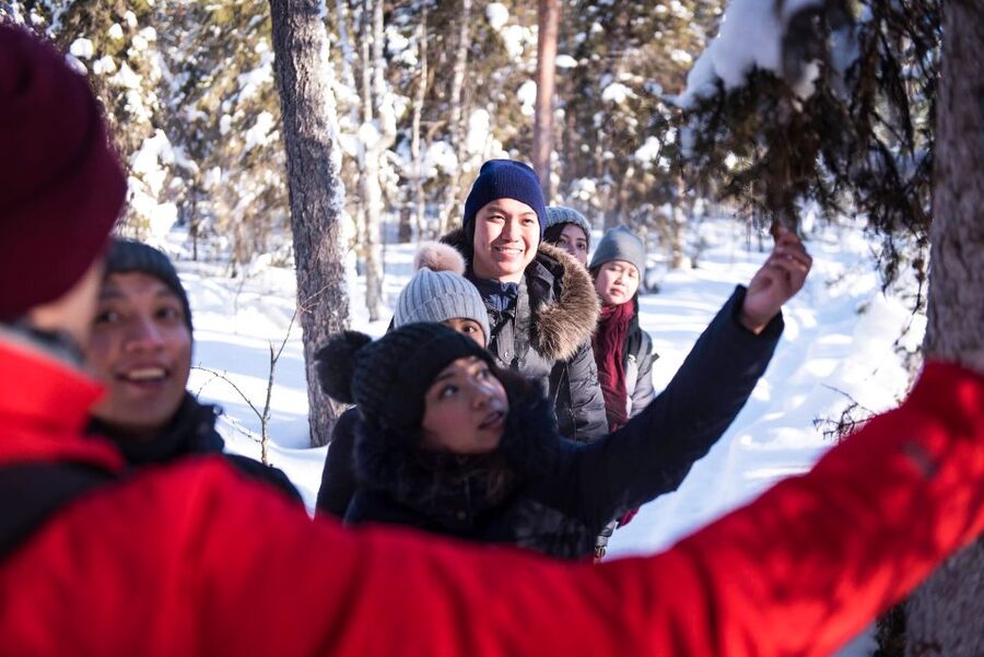 Rovaniemi: Wilderness Tour - Summer Version: Fairytale Forest Walks With Nature Skills You Can Use