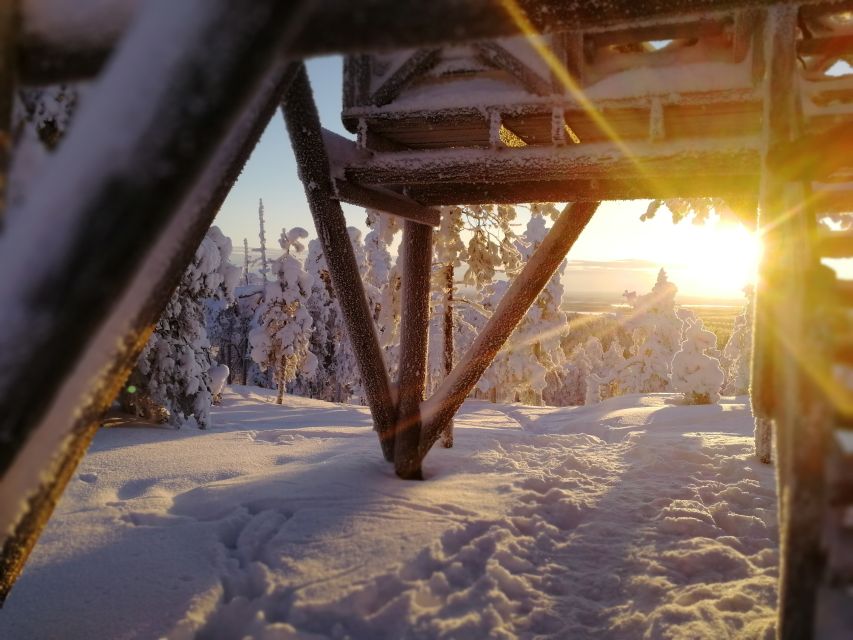 Rovaniemi: Wilderness Tour - The Fire Stop: More Than a Warm Snack