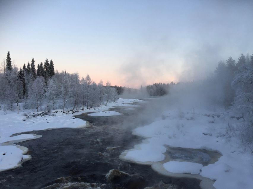 Rovaniemi: Wilderness Tour - Who This Tour Fits Best (And Who Might Skip It)