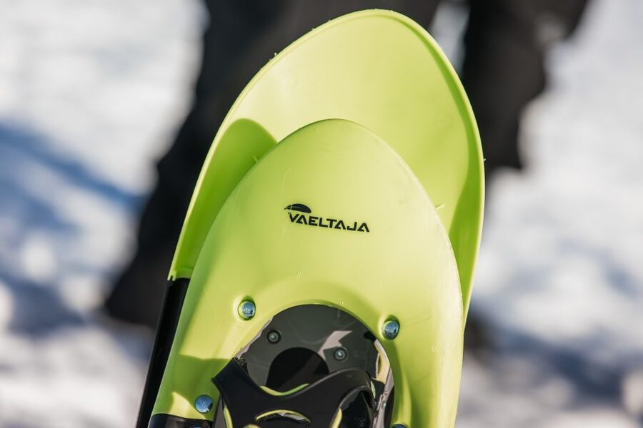 Rovaniemi: Winter Wilderness Snowshoeing Trip - Key things to know before you go